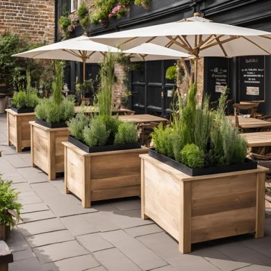 Commercial Planters and plants