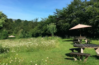 6 Seater Circular Wooden Picnic benches located in the orchard at Castle Drogo, National Trust Property